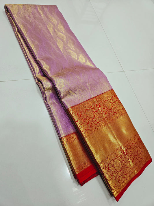 Exclusive Korvai Tissue Silk Sarees 139